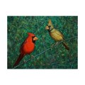 Trademark Fine Art James W. Johnson 'Cardinal Couple' Canvas Art, 14x19 ALI36200-C1419GG